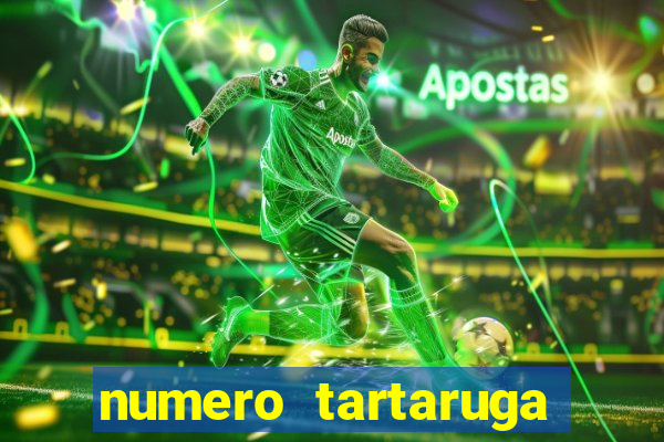 numero tartaruga jogo do bicho